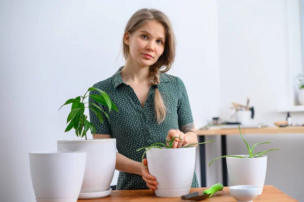 Girl transplanting plants at home in white pots