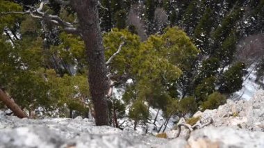 Dağ manzarası. Lago-Naki platosundaki Demir Kaya 'dan görüntüler. Adigea, Rusya