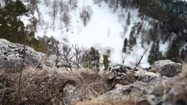 Dağ manzarası. Lago-Naki platosundaki Demir Kaya 'dan görüntüler. Adigea, Rusya