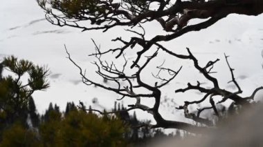 Dağ manzarası. Lago-Naki platosundaki Demir Kaya 'dan görüntüler. Adigea, Rusya