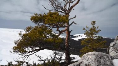 Dağ manzarası. Lago-Naki platosundaki Demir Kaya 'dan görüntüler. Adigea, Rusya