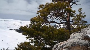 Dağ manzarası. Lago-Naki platosundaki Demir Kaya 'dan görüntüler. Adigea, Rusya