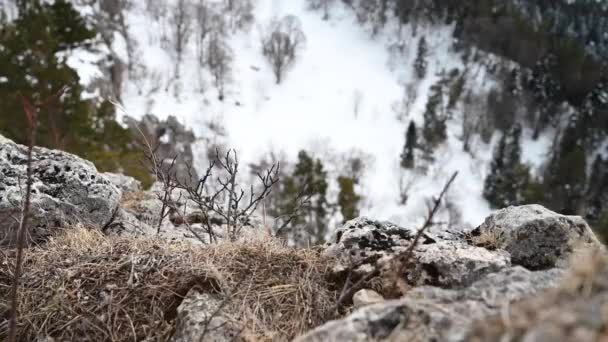 Paisaje de montaña. Imágenes de la roca de hierro en la meseta de Lago-Naki. Adygea, Rusia — Vídeo de stock