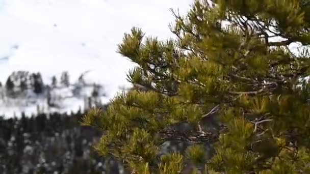 Mountain landscape. Footage from the Iron rock on the Lago-Naki plateau. Adygea, Russia — Stock Video