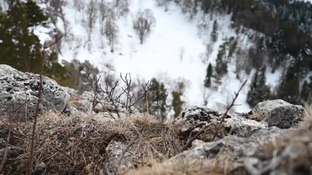 Górski krajobraz. Nagranie z żelaznej skały na płaskowyżu Lago-Naki. Adygea, Rosja — Wideo stockowe