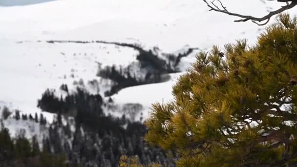 Górski krajobraz. Nagranie z żelaznej skały na płaskowyżu Lago-Naki. Adygea, Rosja — Wideo stockowe