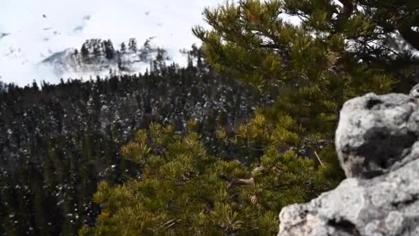 Paisaje de montaña. Imágenes de la roca de hierro en la meseta de Lago-Naki. Adygea, Rusia — Vídeo de stock