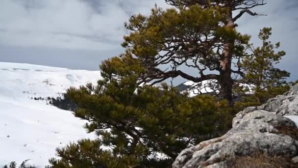 Horská krajina. Záběry z Železné skály na náhorní plošině Lago-Naki. Adygea, Rusko — Stock video