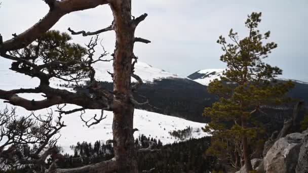 Paisaje de montaña. Imágenes de la roca de hierro en la meseta de Lago-Naki. Adygea, Rusia — Vídeo de stock