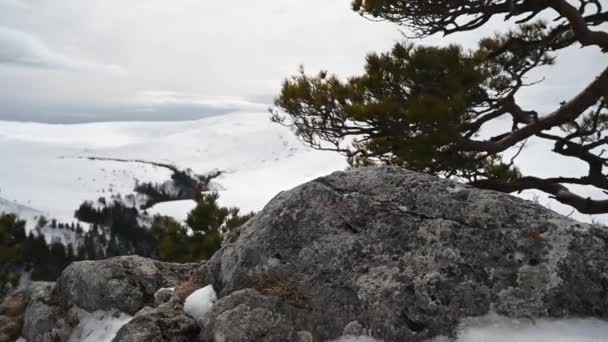 Dağ manzarası. Lago-Naki platosundaki Demir Kaya 'dan görüntüler. Adigea, Rusya — Stok video