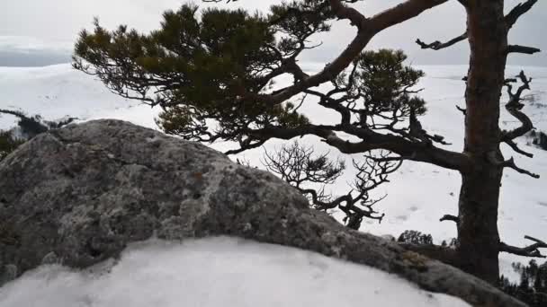 산악 지형. 라고 - 나 키 고원의 철의 바위에서 나온 발자국이야. 러시아 의아 디게아 — 비디오