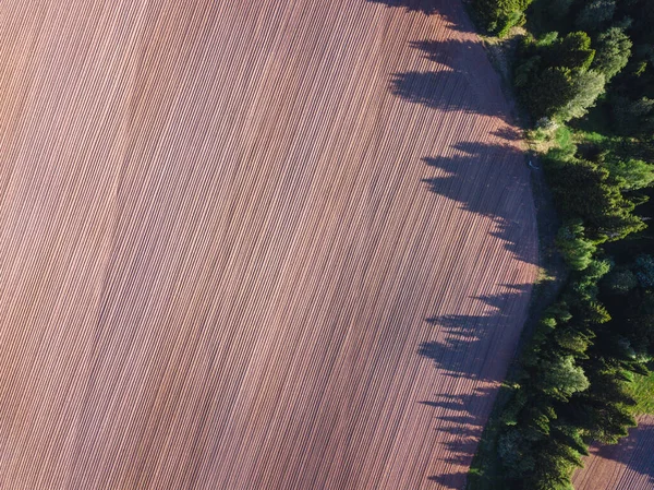 Vue par drone sur un champ labouré — Photo