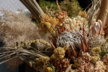 Kurumuş bitkiler, doğa geçmişi. Yüksek kalite fotoğraf