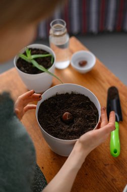 Beyaz tencerelerde çiçek nakleden bir kız.