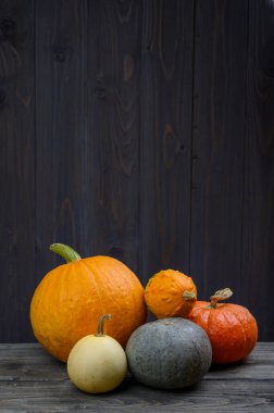 Koyu ahşap arka planda balkabakları. Cadılar Bayramı Şükran Günü konsepti hasat ediliyor