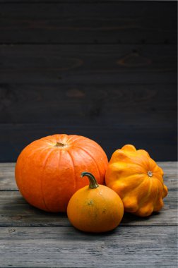 Koyu ahşap arka planda balkabakları. Cadılar Bayramı Şükran Günü konsepti hasat ediliyor