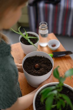 Beyaz tencerelerde çiçek nakleden bir kız.