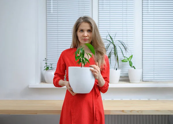 Girl transplanting plants at home in white pots