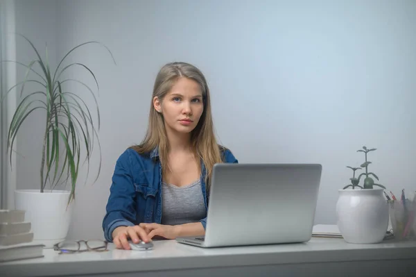 Ein Mädchen mit Laptop lernt an einer Online-Schule. Weißer Raumhintergrund — Stockfoto