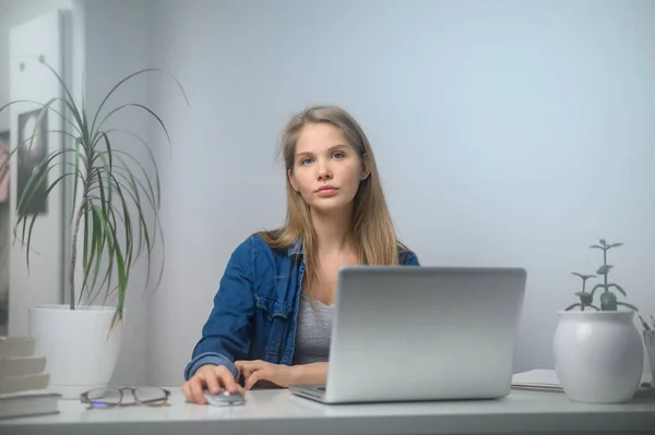 Ein Mädchen mit Laptop lernt an einer Online-Schule. Weißer Raumhintergrund — Stockfoto