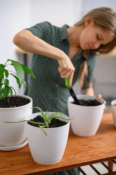 Menina transplantando plantas em casa em vasos brancos — Fotografia de Stock
