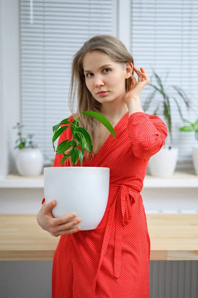 Girl transplanting plants at home in white pots