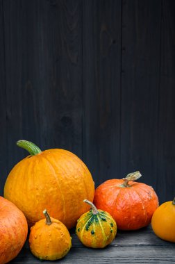 Koyu ahşap arka planda balkabakları. Cadılar Bayramı Şükran Günü konsepti hasat ediliyor