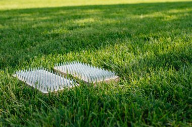 Yoga pratiği için Sadhu tahtası. Çivi alıştırması