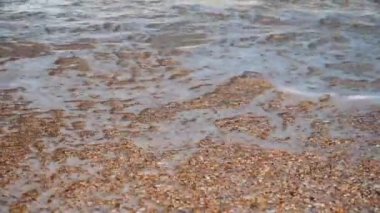 Mavi deniz kıyısında, sarı kumlu..