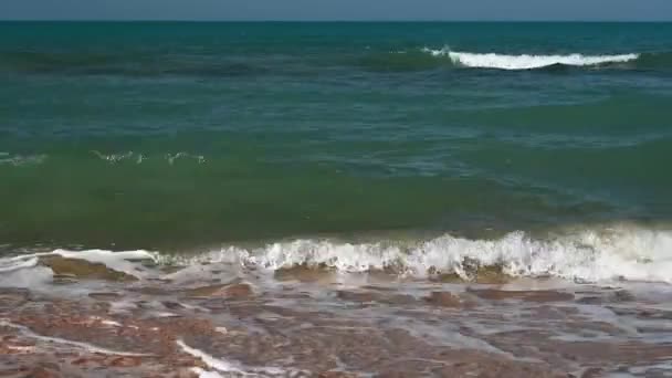Kustlinje mot det blå havet med gul sand. — Stockvideo
