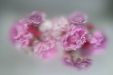 Su damlalarının altında soyut çiçek buketi arkaplanı