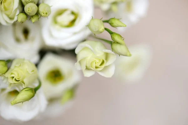 Flowers background. — Stock Photo, Image