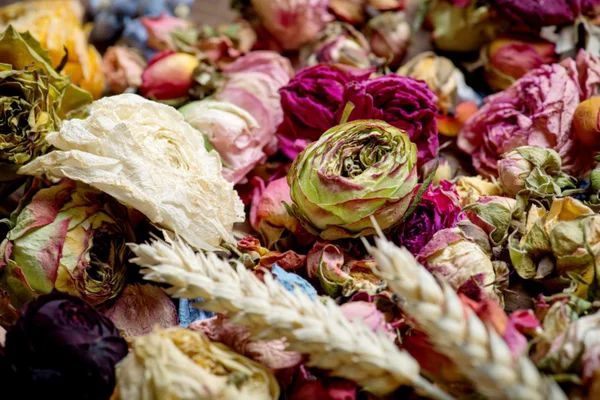 Dried roses. Valentines background. — Stock Photo, Image