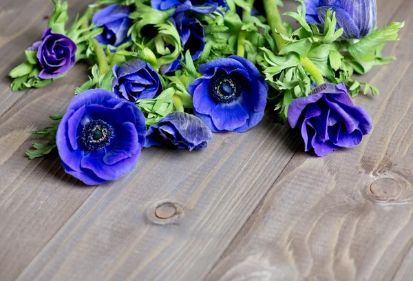 Flor de anêmona no fundo de madeira — Fotografia de Stock
