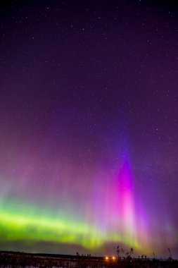 Northern lights (Aurora borealis) in Russia. Izhevsk clipart
