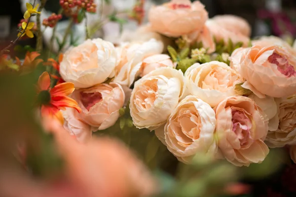 Flowers — Stock Photo, Image