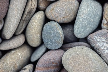 plaj taşlar arka plan