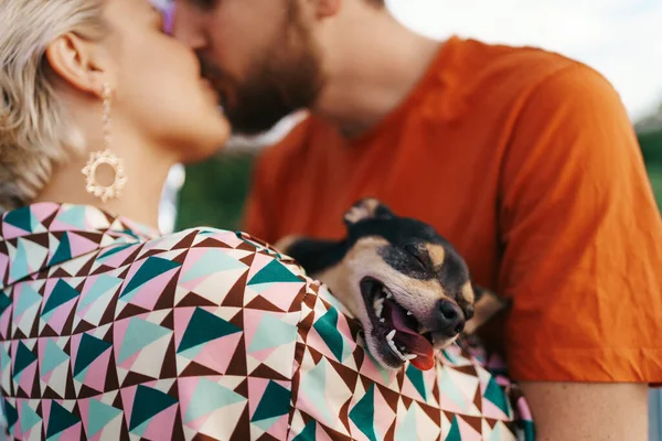 Küssendes Paar und glücklicher Hund — Stockfoto