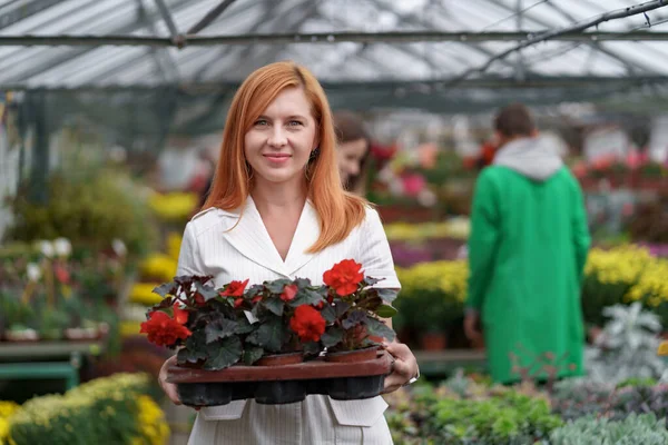 Portrait woman entrepreneur holding a pot with flowers — Stock Photo, Image