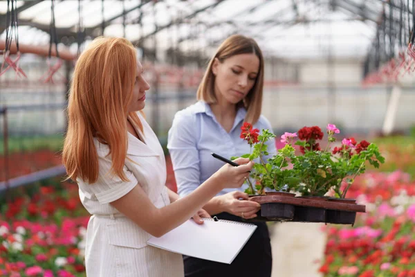 Two business women having a conversation while visiting greenhouse — Stock Photo, Image