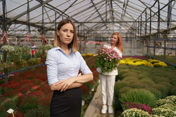 Žena podnikatel portrét pózování ve svém skleníku — Stock fotografie