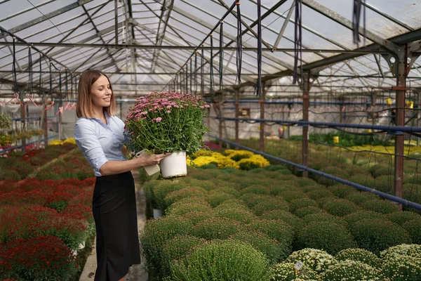 肖像画の女性起業家の花と鍋を保持 — ストック写真