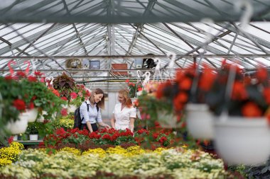 Çiçekler arasında poz veren gülümseyen kadınlar