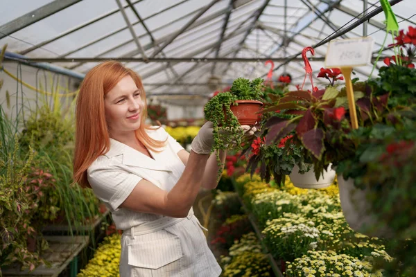 Portrait woman entrepreneur verifying flowers in the green house — Stock Photo, Image