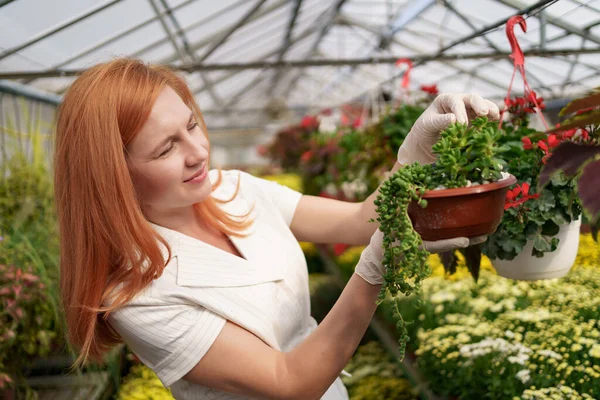 Portrait woman entrepreneur verifying flowers in the green house — Stock Photo, Image