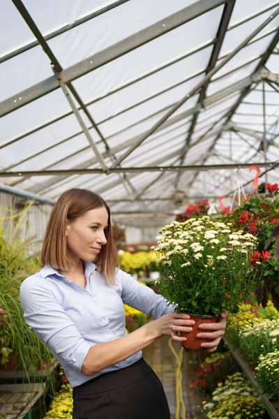 肖像画の女性起業家の花と鍋を保持 — ストック写真