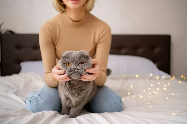 어린 여자와 고양이가 침대에 누워 있는 모습 — 스톡 사진