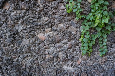 Kahverengi Tuğlalar Duvarı Deseni.