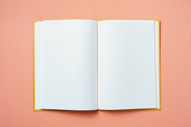 Şampanya arka planında açık bir defter