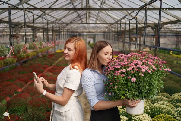 Usmívající se ženy pózující s květinami ve skleníku — Stock fotografie